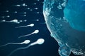 Sperm and egg cell, ovum. Native and natural fertilization - close-up view. Conception the beginning of a new life Royalty Free Stock Photo