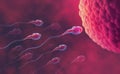 Sperm and egg cell. Under the microscope. Embryology. Natural fertilization Royalty Free Stock Photo