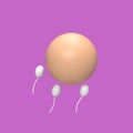 sperm and egg cells are called 3d model cartoon style. render illustration Royalty Free Stock Photo