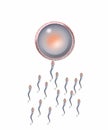Sperm and egg conception illustration concept