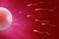 Sperm and egg Fecundation Royalty Free Stock Photo