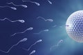 Sperm and egg Fecundation Royalty Free Stock Photo