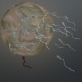 Sperm fertilising ovum
