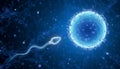 Sperm fertilizing egg cell during human reproduction process Royalty Free Stock Photo