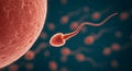 Sperm Fertilizing Egg Visualizing Human Reproduction and Fertility Process Royalty Free Stock Photo