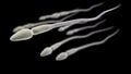 Sperm macro on the black background Royalty Free Stock Photo