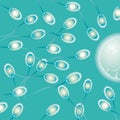 Spermie zdravotné 
