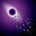 Sperm and ovum combination, many sperm scramble ovum. Royalty Free Stock Photo