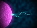 Sperm swimming towards the egg in a dark