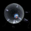 Sperm swimming towards a smiley egg