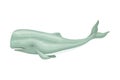 Sperm Whale or Cachalot as Aquatic Placental Marine Mammal with Flippers and Large Tail Fin Closeup Vector Illustration Royalty Free Stock Photo