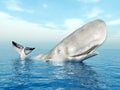 Sperm Whale