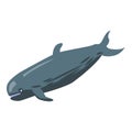 Sperm whale icon, isometric style Royalty Free Stock Photo