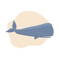 Sperm whale marine mammal. Cute childish illustration in pastel colors. Beautiful delicate print. Royalty Free Stock Photo