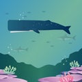 Sperm whale Royalty Free Stock Photo