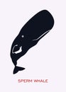 Sperm whale. Royalty Free Stock Photo