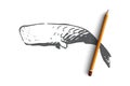 Sperm whale, ocean, wildlife, marine, cachalot concept. Hand drawn isolated vector.