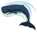 Of a sperm whale Physeter macrocephalus with a smooth streamlined Royalty Free Stock Photo