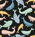 Sperm whale seamless pattern. Colorful whales vector on the black background. Royalty Free Stock Photo