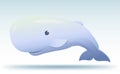 Sperm whale Royalty Free Stock Photo