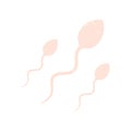 Spermatozoon, sperm cells. Male gametes, human semen. Vector illustration in cartoon style