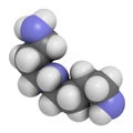 Spermidine molecule. 3D rendering. Atoms are represented as spheres with conventional color coding: hydrogen (white), carbon (grey