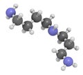 Spermidine molecule. 3D rendering. Atoms are represented as spheres with conventional color coding: hydrogen (white), carbon (grey