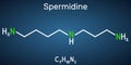 Spermidine molecule. Structural chemical formula on the dark blue background