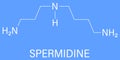 Spermidine polyamine compound molecule. Skeletal formula. Chemical structure