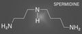 Spermidine polyamine compound molecule. Skeletal formula. Chemical structure