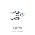 Sperms icon. Thin linear sperms outline icon isolated on white background from human body parts collection. Line vector sperms