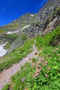 Sperry Glacier Trail Montana Royalty Free Stock Photo