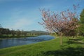 Spey valley in spring Royalty Free Stock Photo