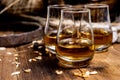 Speyside scotch whisky tasting on old dark wooden vintage table with barley grains Royalty Free Stock Photo