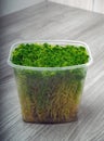 Sphagnum moss in a container Royalty Free Stock Photo