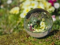 Sphere, crystal ball, lens ball on moss covered stone Royalty Free Stock Photo