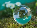 Sphere, crystal ball, lens ball on moss covered stone