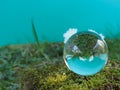 Sphere, crystal ball, lens ball on moss covered stone Royalty Free Stock Photo