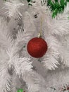 Sphere Decorated Christmas green tree decorations have red ball, gold leaves on blurred of background Royalty Free Stock Photo