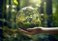 Sphere held in hand and the mossy natural environment inside. Royalty Free Stock Photo