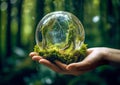 Sphere held in hand and the mossy natural environment inside. Royalty Free Stock Photo