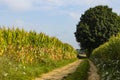 Hiking the GR5 trail in the Benelux Royalty Free Stock Photo