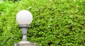 Sphere lamp on lamppost with Wrightia religiosa plant background