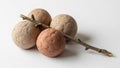 Spheres three light brown and one reddish brown sit on a white Royalty Free Stock Photo