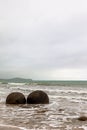 The spherical boulders of Moeraki on the Pacific coast. New Zealand Royalty Free Stock Photo