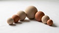 Of spherical objects in different sizes are arranged in a row on a Royalty Free Stock Photo