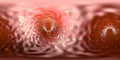Spherical panorama view inside blood vessel Royalty Free Stock Photo