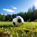 Spherical sports ball rests peacefully on a bed of grass