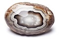 spheroidal weathered gray agate Royalty Free Stock Photo