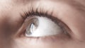 Sphincter The pupil reacts when exposed to light. The gray left eye of a young woman looking up into which the window is